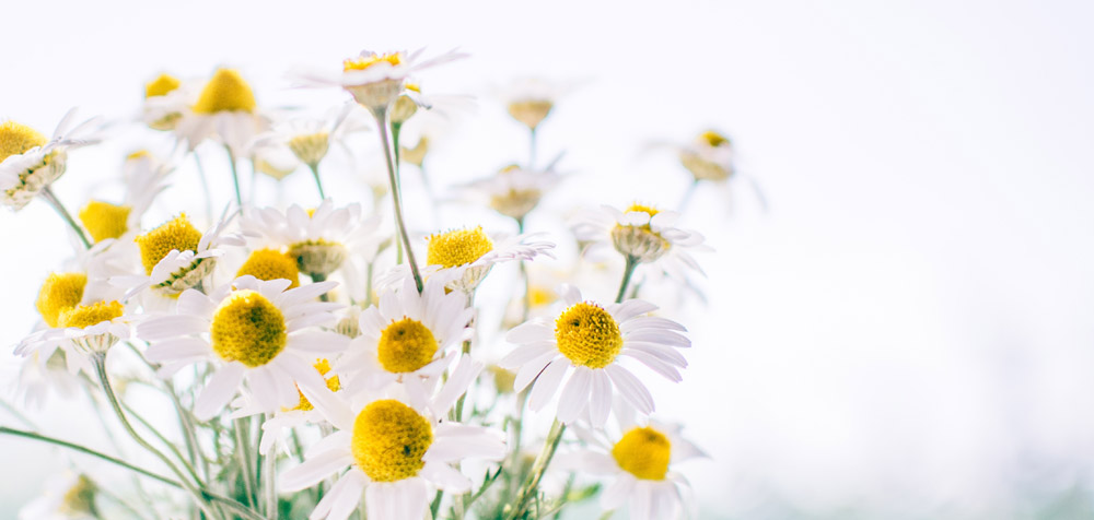 Dr. med. Cornelia Decker